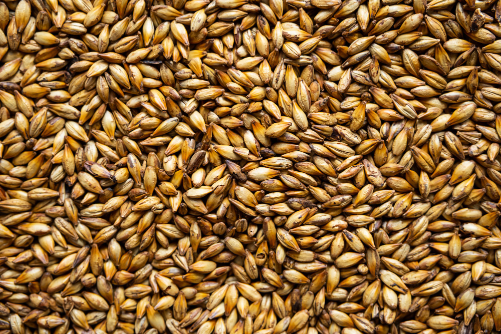 Caramel Malt 60L