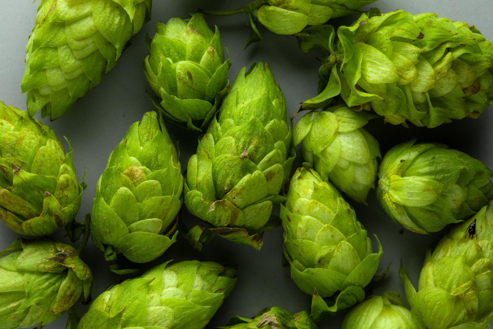 Cascade Hops